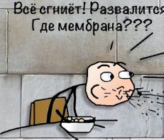 https://upforme.ru/uploads/001c/b4/41/34/t249903.jpg