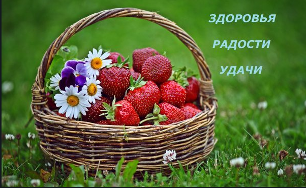 https://upforme.ru/uploads/001c/b4/41/5/928326.png
