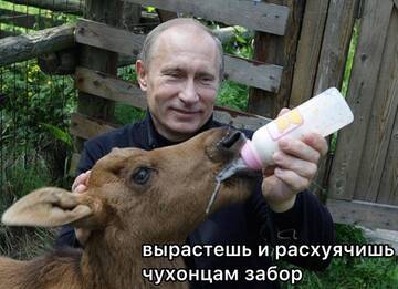 https://upforme.ru/uploads/001c/b4/41/7/t397762.jpg
