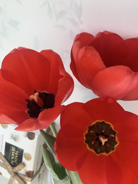 https://upforme.ru/uploads/001c/b4/41/8/t589508.jpg