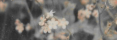 https://upforme.ru/uploads/001c/b6/66/2/847359.png