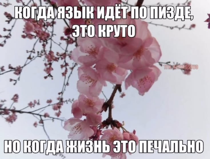 https://upforme.ru/uploads/001c/b7/5d/19/573087.jpg