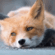 https://upforme.ru/uploads/001c/b8/7c/2/148888.gif
