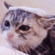 https://upforme.ru/uploads/001c/b8/7c/2/282170.gif