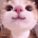 https://upforme.ru/uploads/001c/b8/7c/2/31629.gif