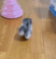 https://upforme.ru/uploads/001c/b8/7c/2/67899.gif