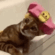 https://upforme.ru/uploads/001c/b8/7c/2/685062.gif
