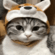 https://upforme.ru/uploads/001c/b8/7c/2/759898.gif