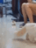 https://upforme.ru/uploads/001c/b8/7c/2/865451.gif