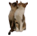 https://upforme.ru/uploads/001c/bc/24/3/55814.png