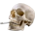 https://upforme.ru/uploads/001c/bc/24/3/776059.png