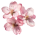 https://upforme.ru/uploads/001c/bc/24/3/899163.png
