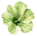 https://upforme.ru/uploads/001c/bc/24/3/92252.png