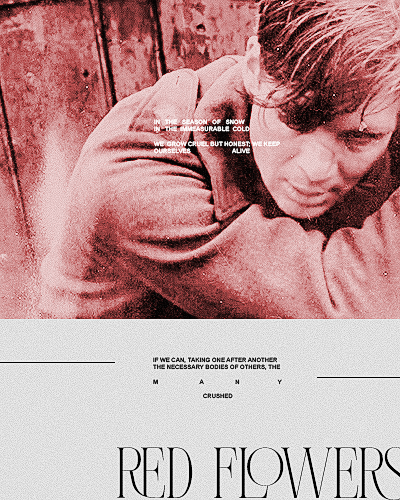https://upforme.ru/uploads/001c/bd/d1/154/199415.png