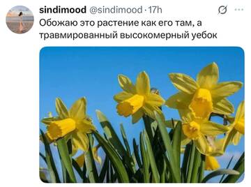 https://upforme.ru/uploads/001c/bd/d1/67/t456871.jpg