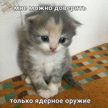 https://upforme.ru/uploads/001c/bd/d1/67/t759721.jpg