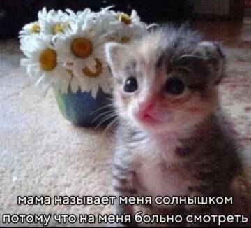 https://upforme.ru/uploads/001c/bd/d1/67/t841078.jpg