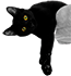 https://upforme.ru/uploads/001c/be/6e/3/614176.png