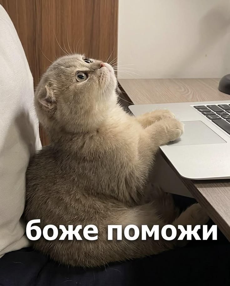 https://upforme.ru/uploads/001c/c0/51/138/275088.jpg
