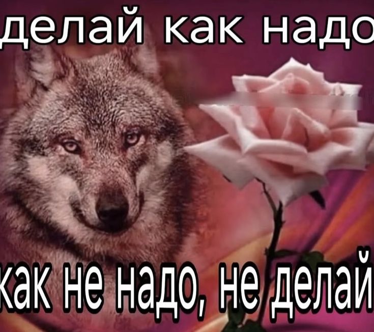 https://upforme.ru/uploads/001c/c0/51/8/240140.jpg