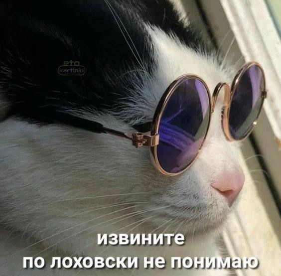 https://upforme.ru/uploads/001c/c1/8b/138/280470.jpg