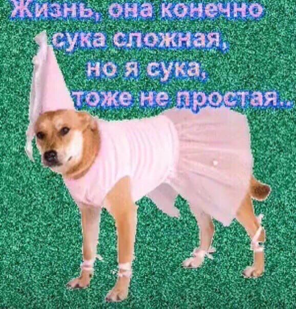 https://upforme.ru/uploads/001c/c1/8b/138/747267.jpg