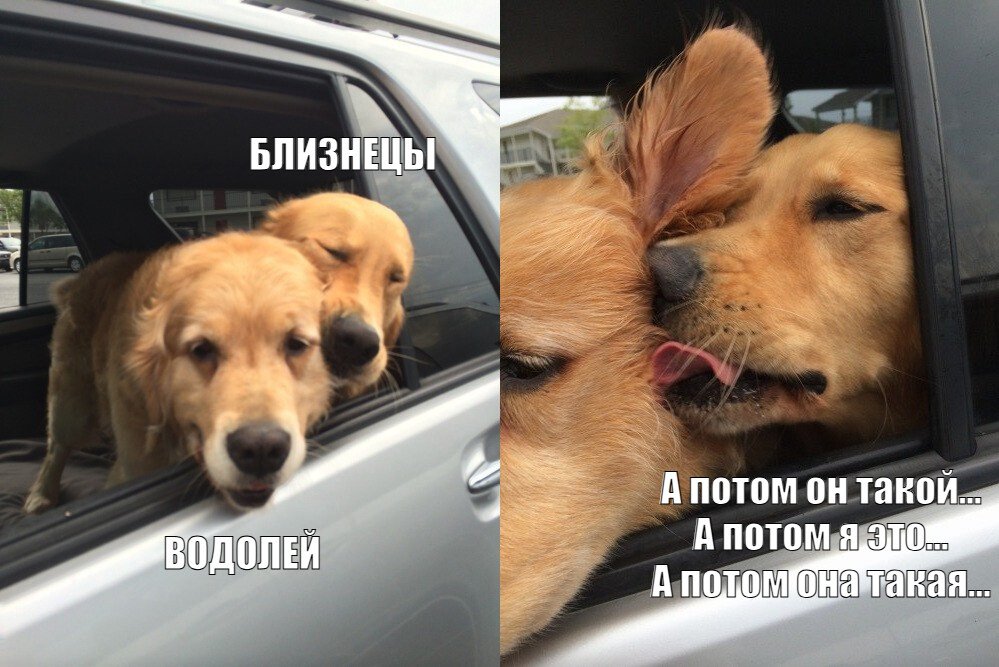 https://upforme.ru/uploads/001c/c1/8b/138/77702.jpg