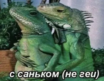 https://upforme.ru/uploads/001c/c1/8b/47/t752033.webp