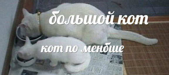https://upforme.ru/uploads/001c/c2/c0/3/635637.png