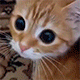 https://upforme.ru/uploads/001c/c2/c0/7/151941.gif