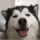 https://upforme.ru/uploads/001c/c4/83/4/189960.gif