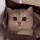 https://upforme.ru/uploads/001c/c4/83/4/987808.gif