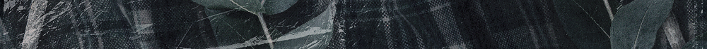 https://upforme.ru/uploads/001c/c6/af/2/95108.png
