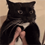 https://upforme.ru/uploads/001c/c6/af/3/187011.gif