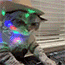 https://upforme.ru/uploads/001c/c6/af/3/283005.gif