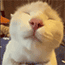 https://upforme.ru/uploads/001c/c6/af/3/686991.gif