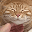 https://upforme.ru/uploads/001c/c6/af/3/928286.gif
