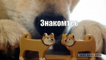 https://upforme.ru/uploads/001c/c7/3a/8/t247789.jpg