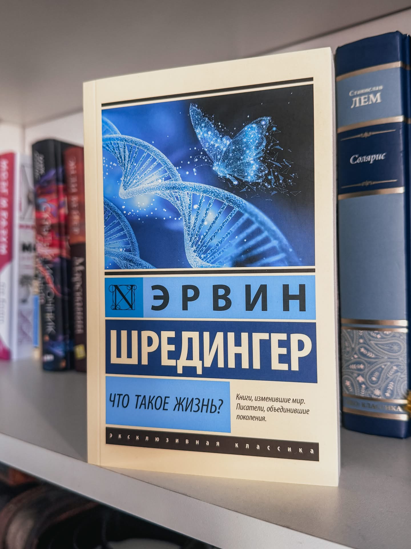 https://upforme.ru/uploads/001c/c9/06/2/731229.jpg