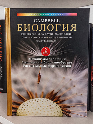 https://upforme.ru/uploads/001c/c9/06/2/907077.jpg