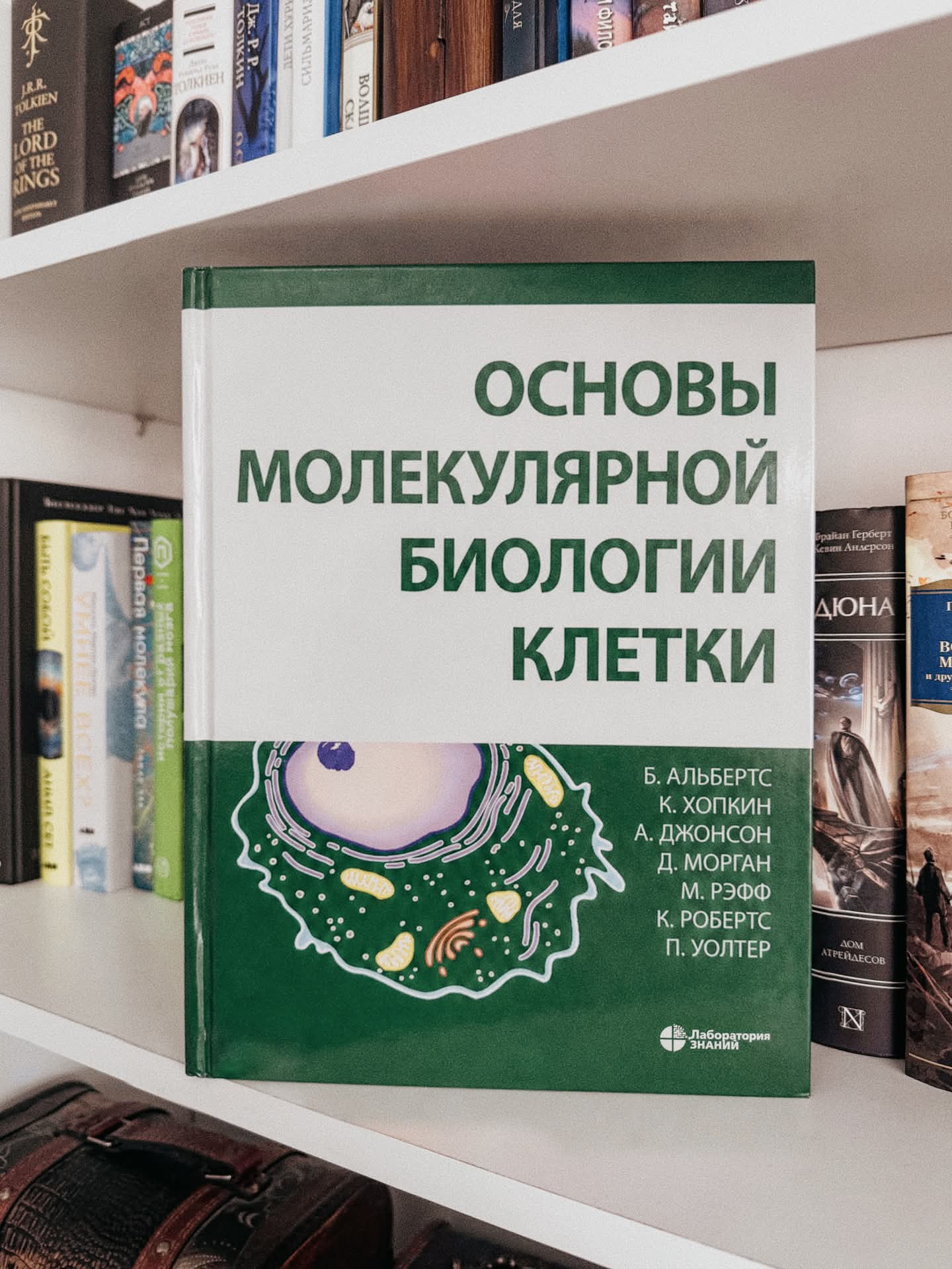 https://upforme.ru/uploads/001c/c9/06/2/936806.jpg