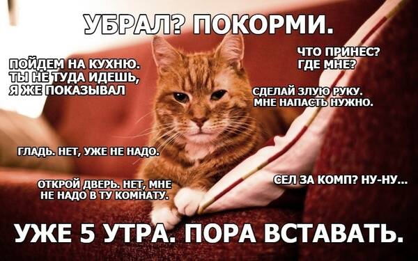 https://upforme.ru/uploads/001c/cb/25/3/t638294.jpg
