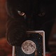 https://upforme.ru/uploads/001c/cd/71/2/574305.png
