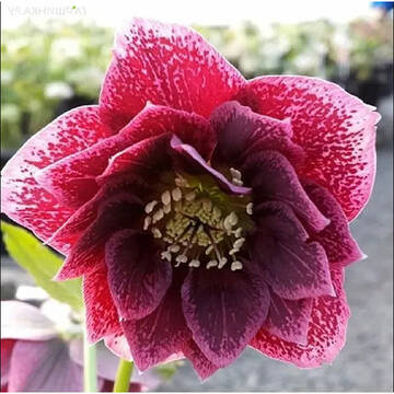 https://upforme.ru/uploads/001c/cd/ee/2/t163496.jpg