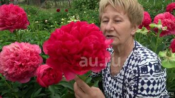 https://upforme.ru/uploads/001c/cd/ee/2/t348800.jpg
