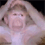 https://upforme.ru/uploads/001c/ce/ab/4/261487.gif