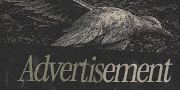 https://upforme.ru/uploads/001c/cf/84/2/436063.png