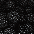 https://upforme.ru/uploads/001c/d1/b8/17/948943.png