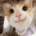 https://upforme.ru/uploads/001c/d1/b8/9/801138.gif